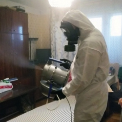 Дезинфекция от клопов в Щучьем