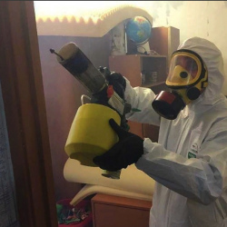 Уничтожение клопов в квартире. Щучье